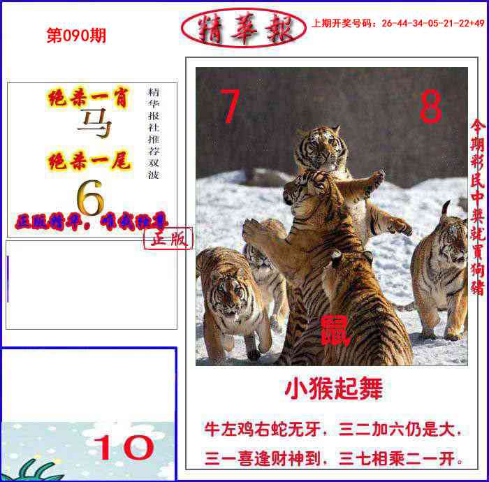 090期新精华报报[图]